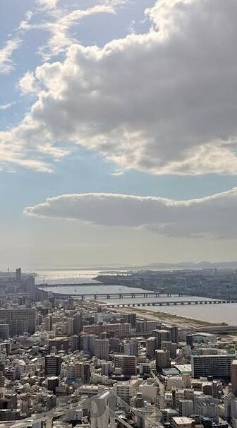 今日足球比分预测退出-从今日足球比分预测到理性退出，一场关于足球与生活的智慧转身